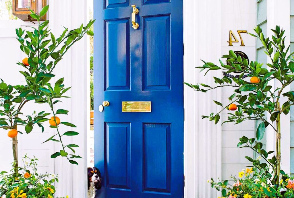 Elevate Your Entryway: How to Choose the Perfect Front Door Color